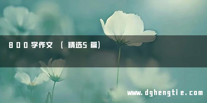 800字作文 (精选5篇)